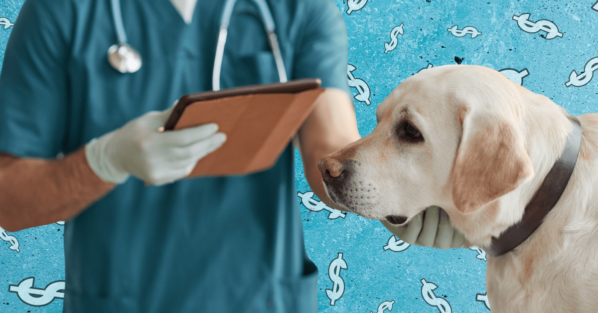 A man in scrubs and rubber gloves holding a clipboard with one hand on a yellow lab.