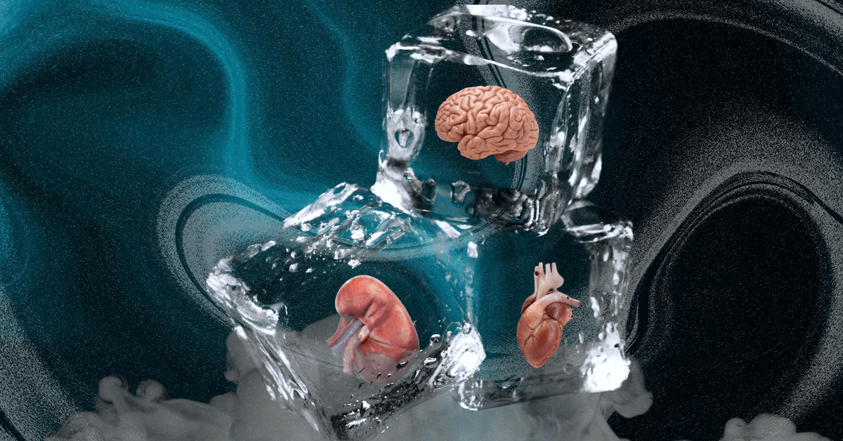 Three ice cubes with a brain, heart, and kidney frozen inside and a cloud of dry ice.