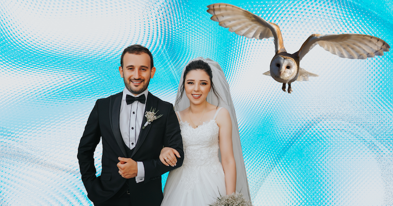 An owl flies over a bride and groom against a blue-and-white background.